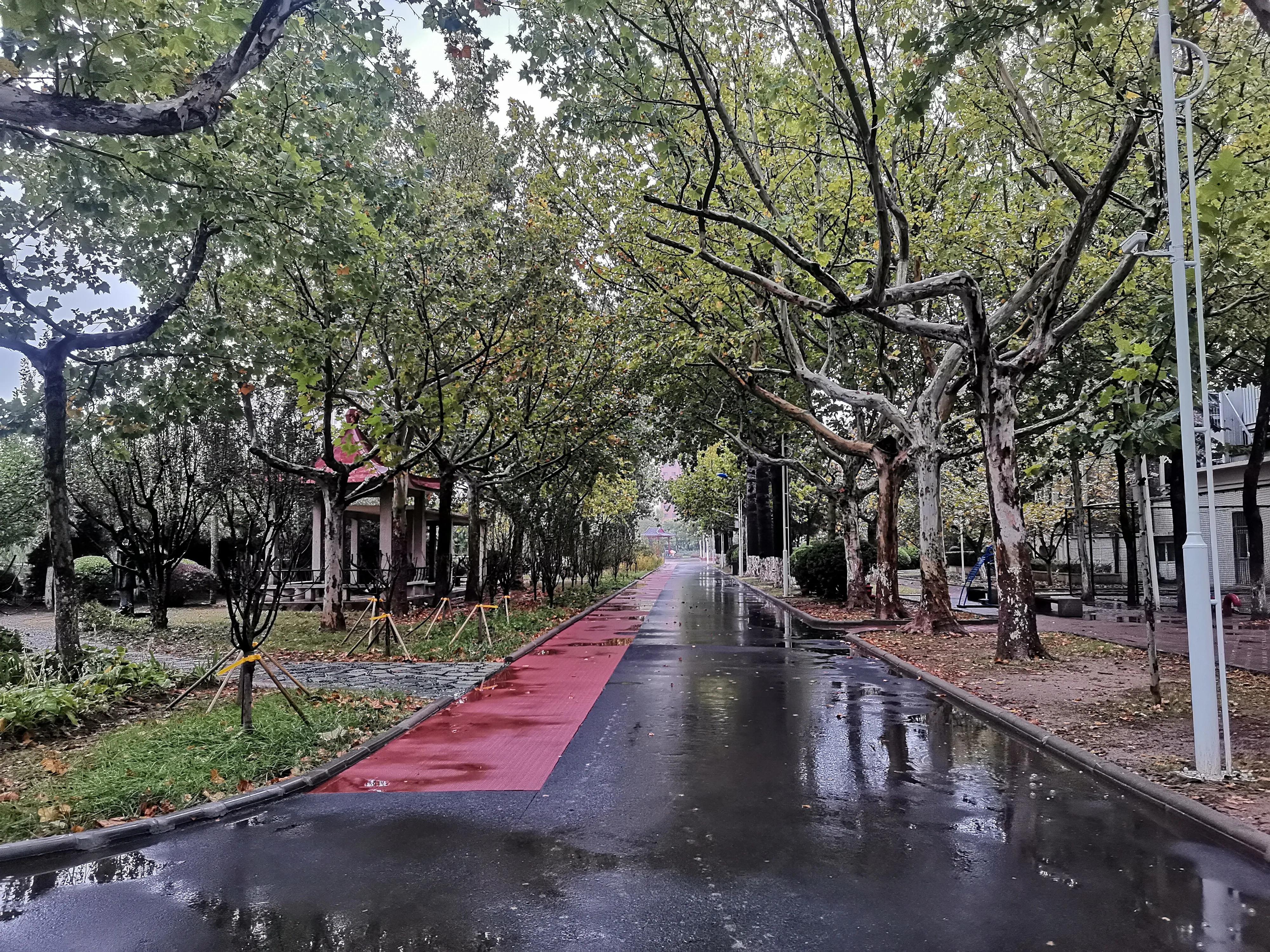 秋雨绵绵凉意浓浓,秋雨绵绵雾茫茫