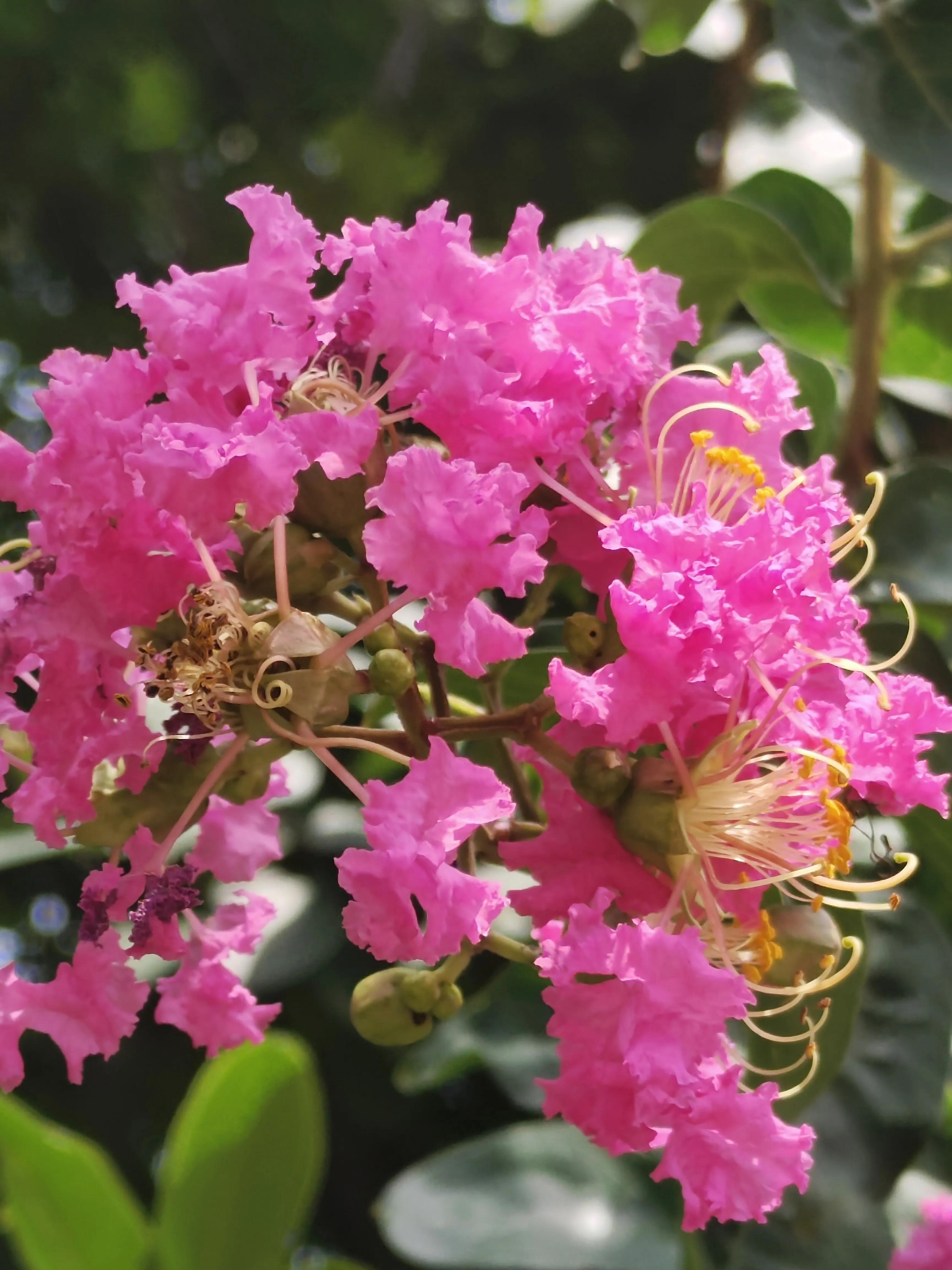生病了才知道雨伞重要,生病了才知道伞有多重要