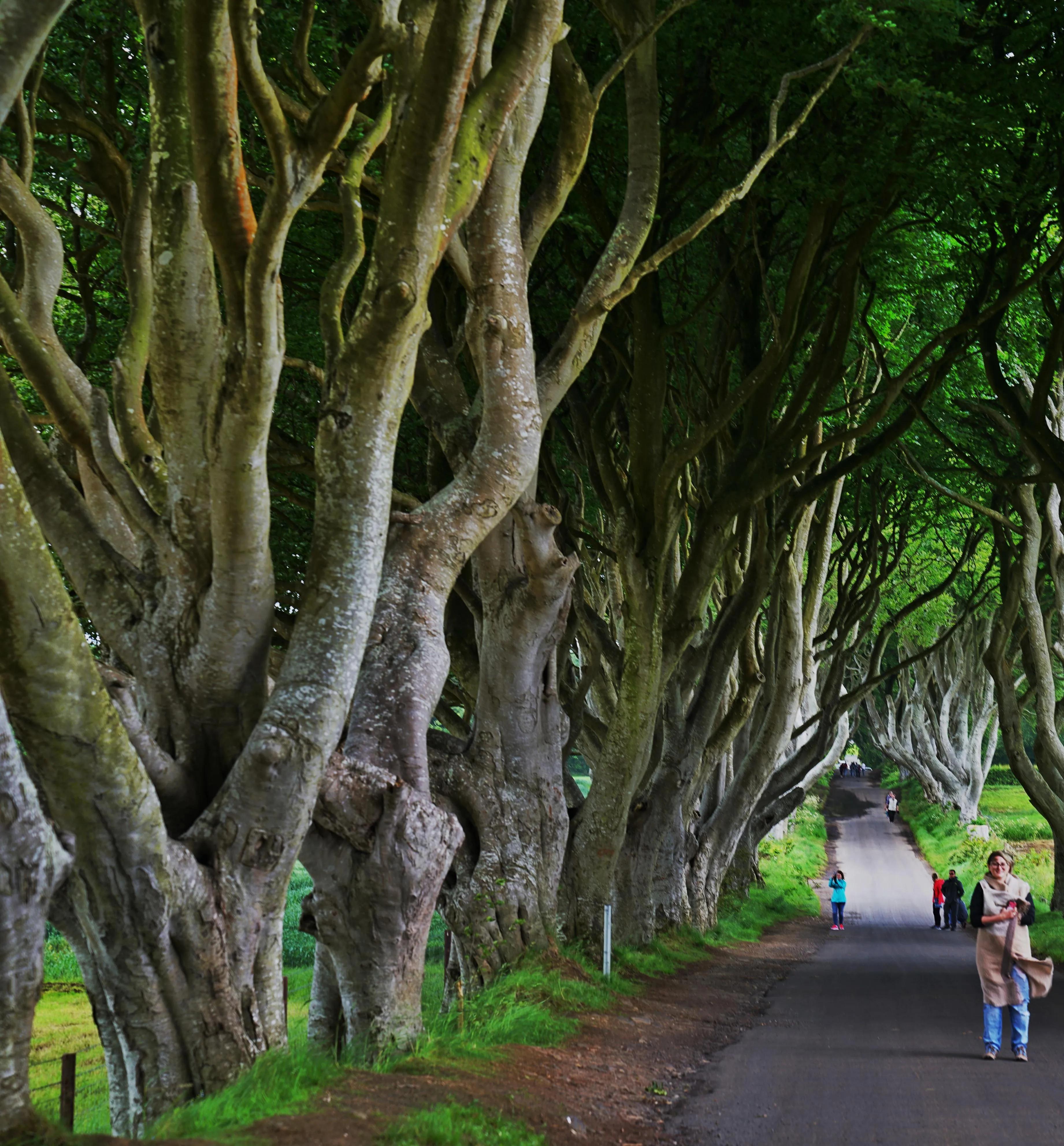 英伦三岛贝尔法斯特,体验权力的游戏