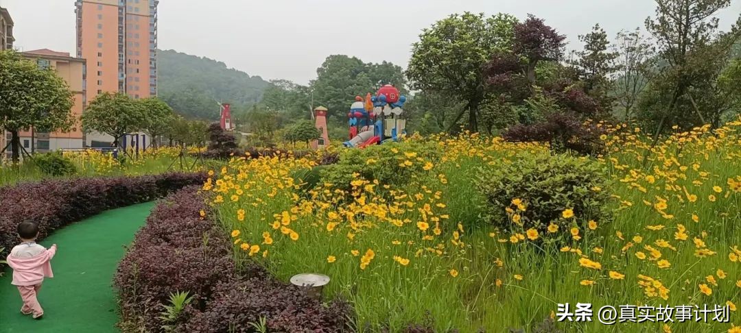 县城的房子砸手里了,县城房产砸在年轻人手里