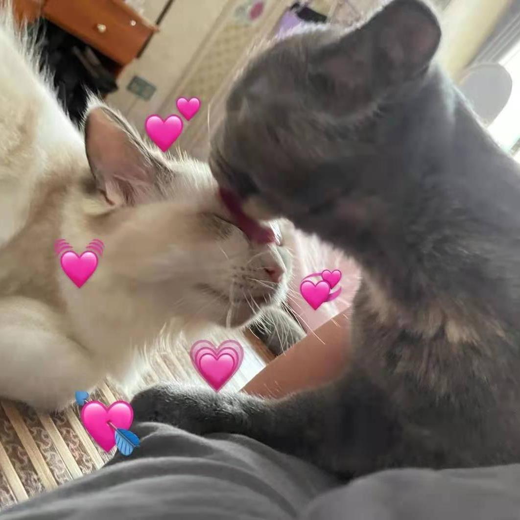 深圳市最高底薪招聘,深圳待遇好的长白班招聘