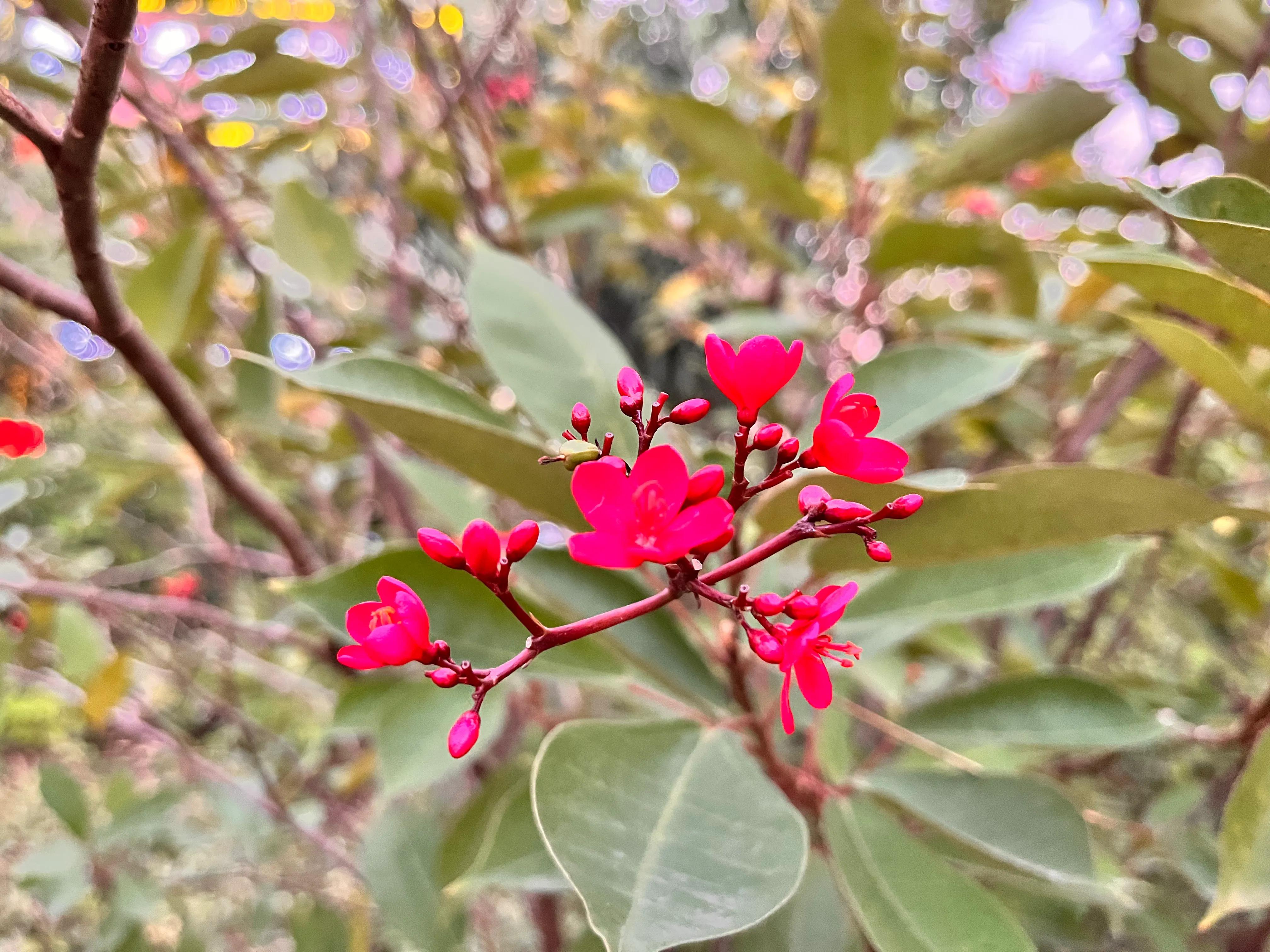清明时节有感50字,清明时节有感