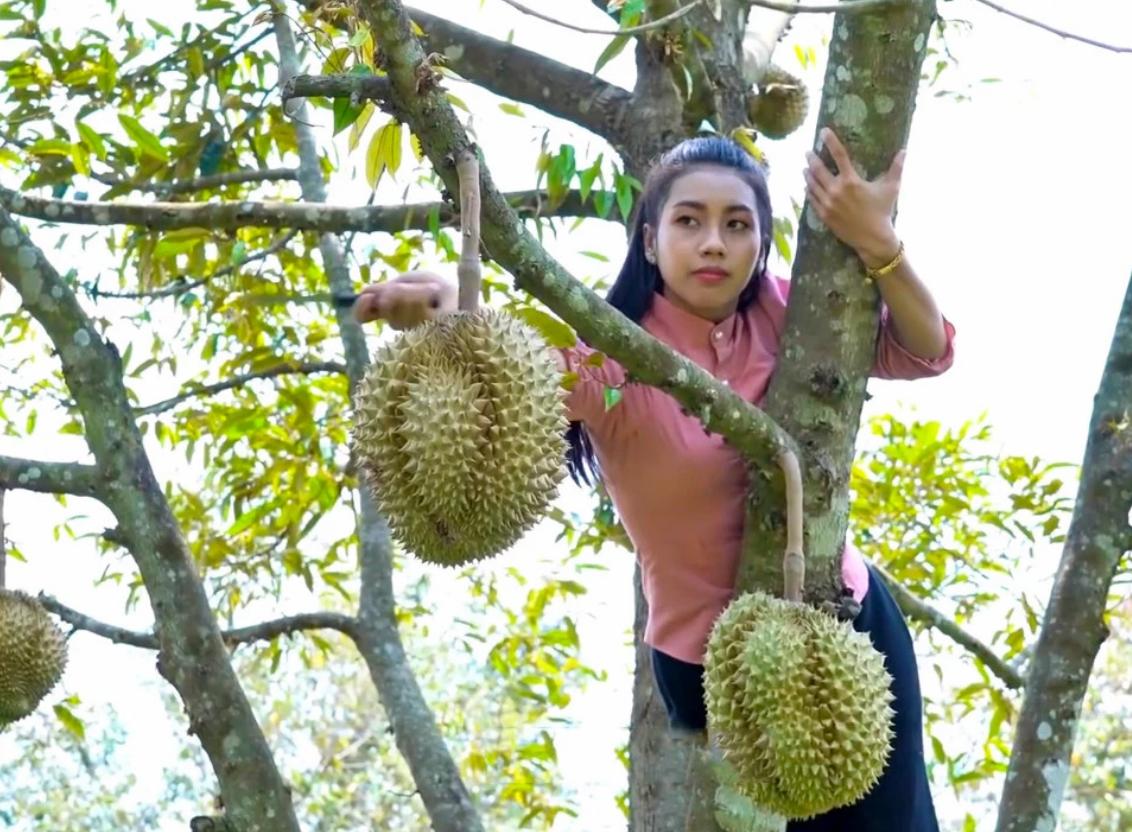 国产榴莲要来了,10元3斤还远吗?泰国:我的高价榴莲卖给谁!
