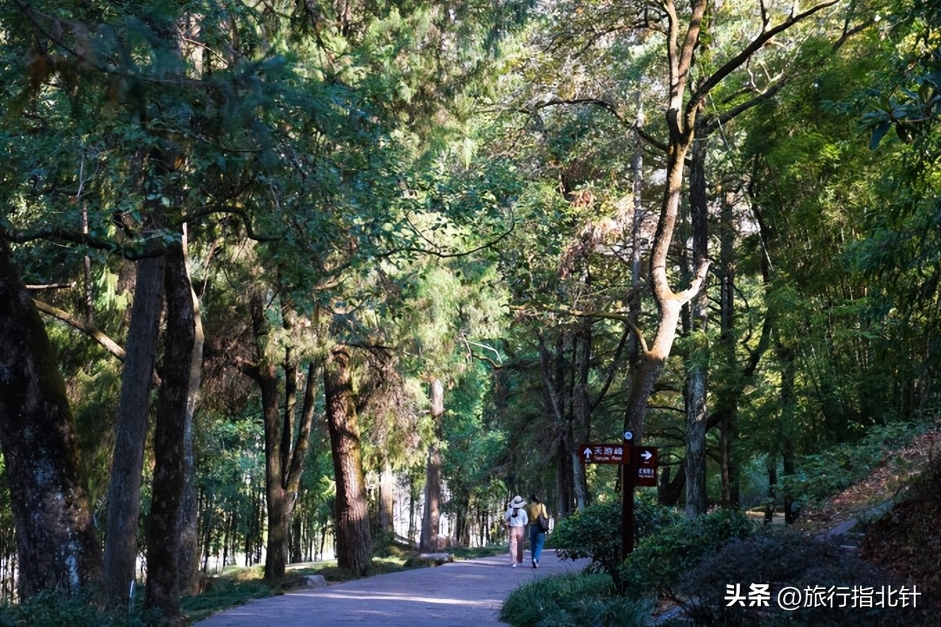 一分钟了解武夷山旅游景点攻略,福建自由行武夷山旅游攻略