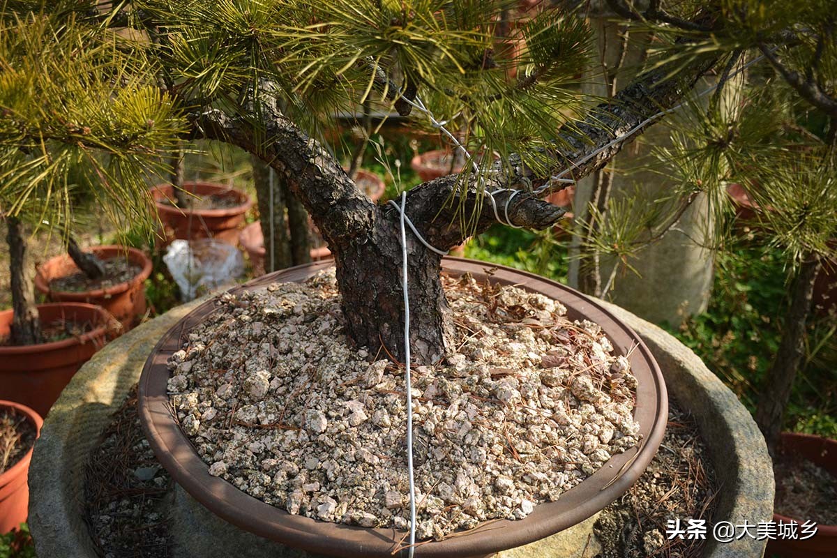 农村普通人做生意,农村人做点小生意不容易啊