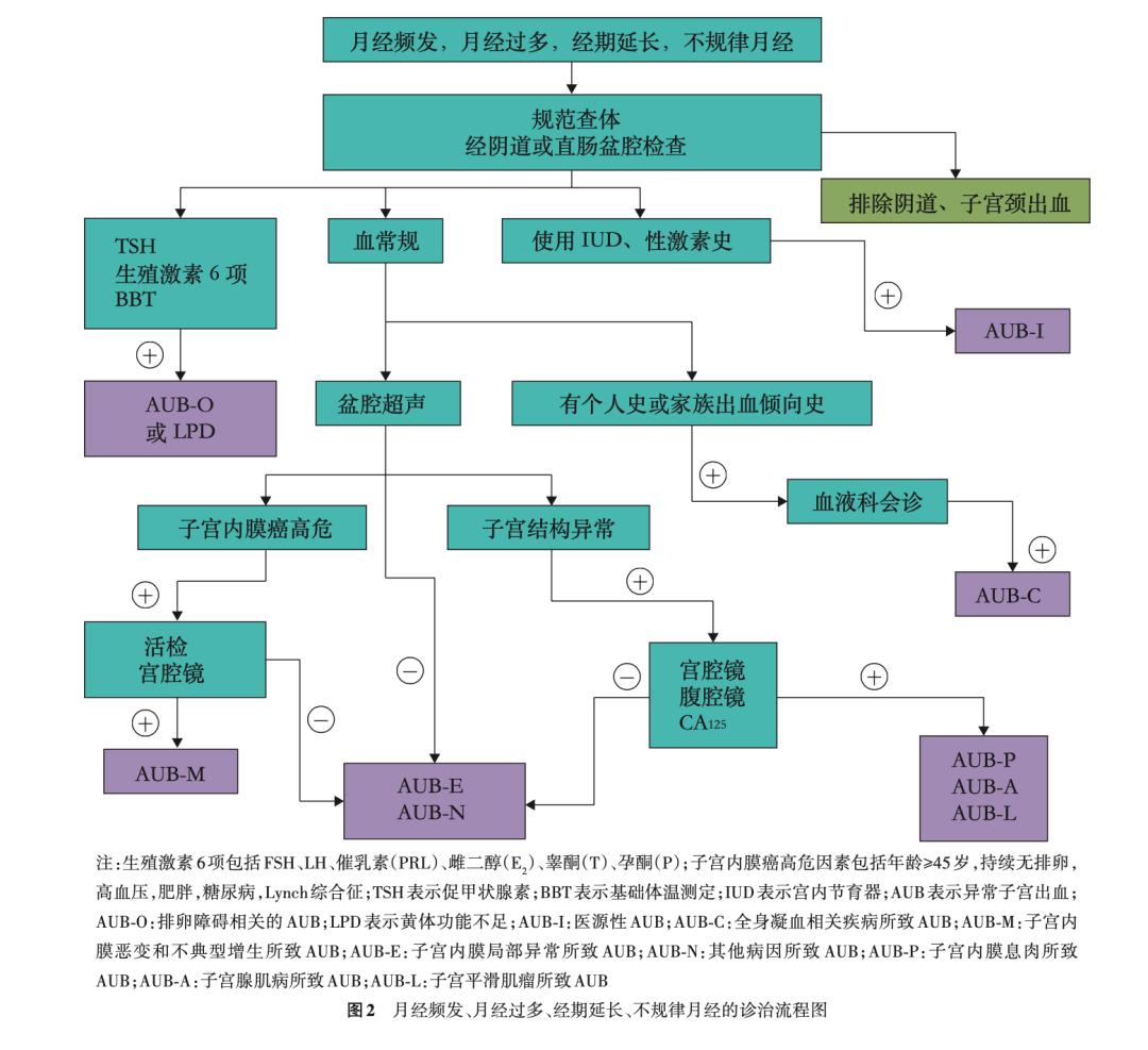 派特灵跟派特舒尔是一样的吗,派特生物是治疗什么病的