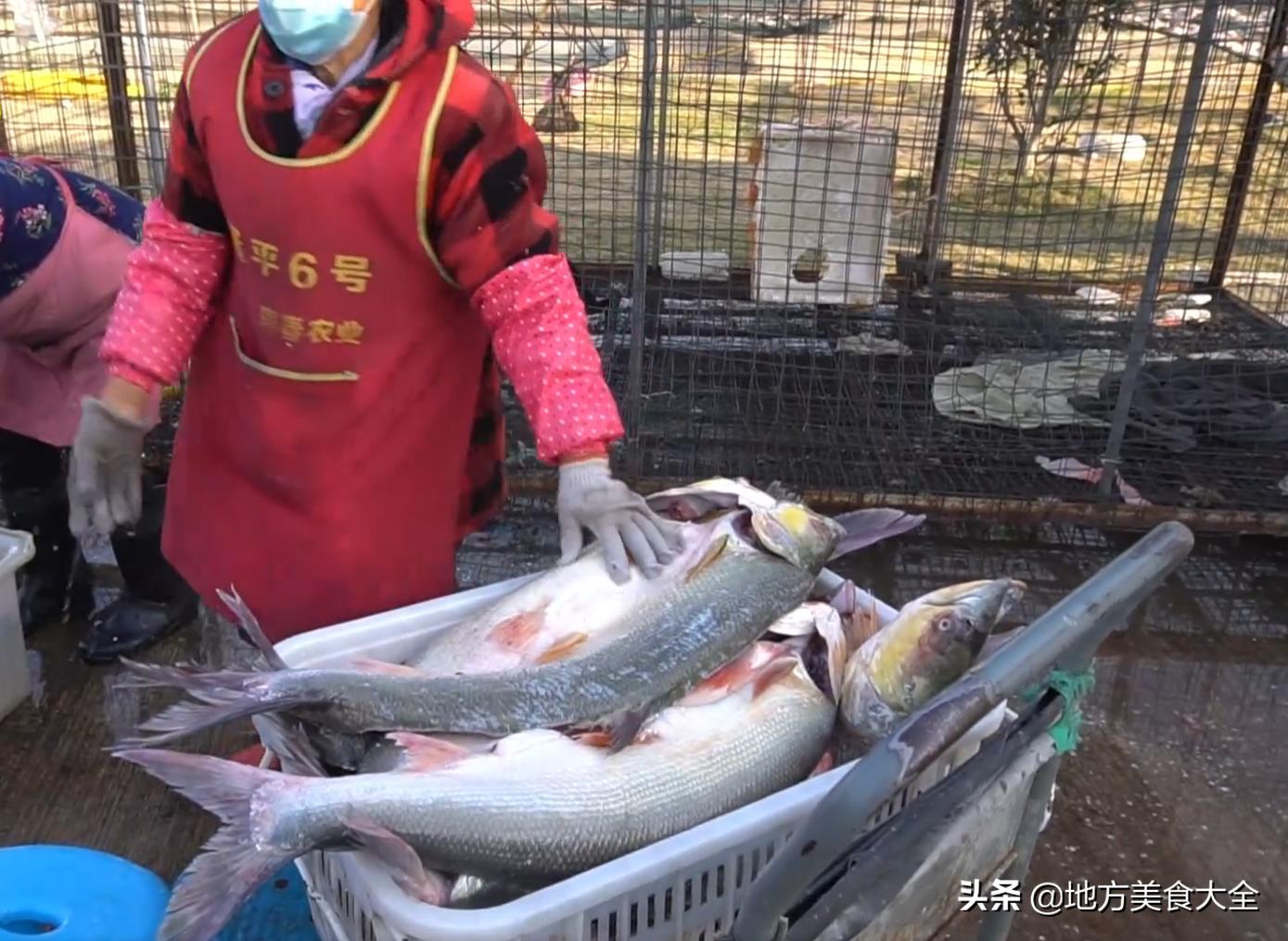 安徽大哥做无水牛肉,安徽大哥做饭