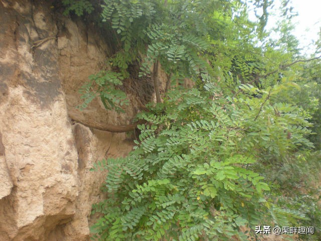 横水卸甲坪旅游路线,横水卸甲坪风景