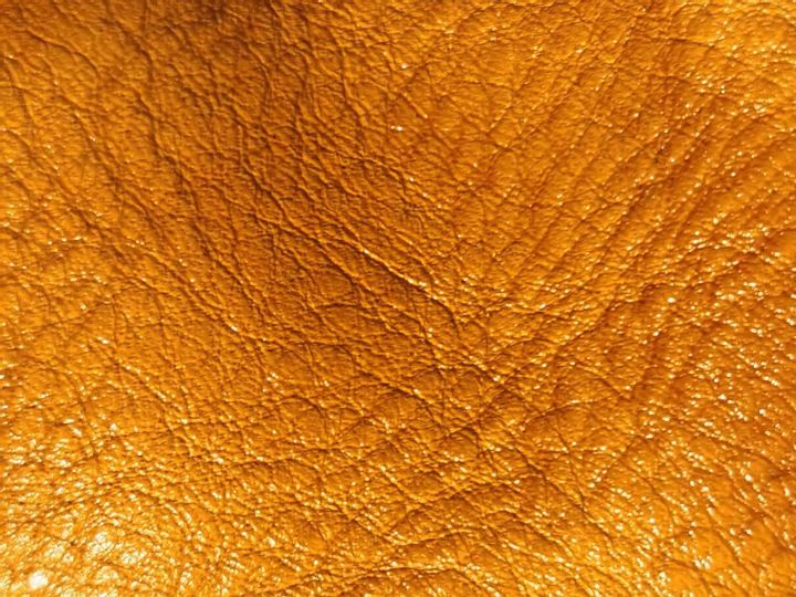 如何分真假头层牛皮,皮料鉴定最快方法