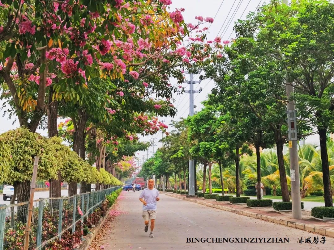 旅居海南：九所新区的浪漫情