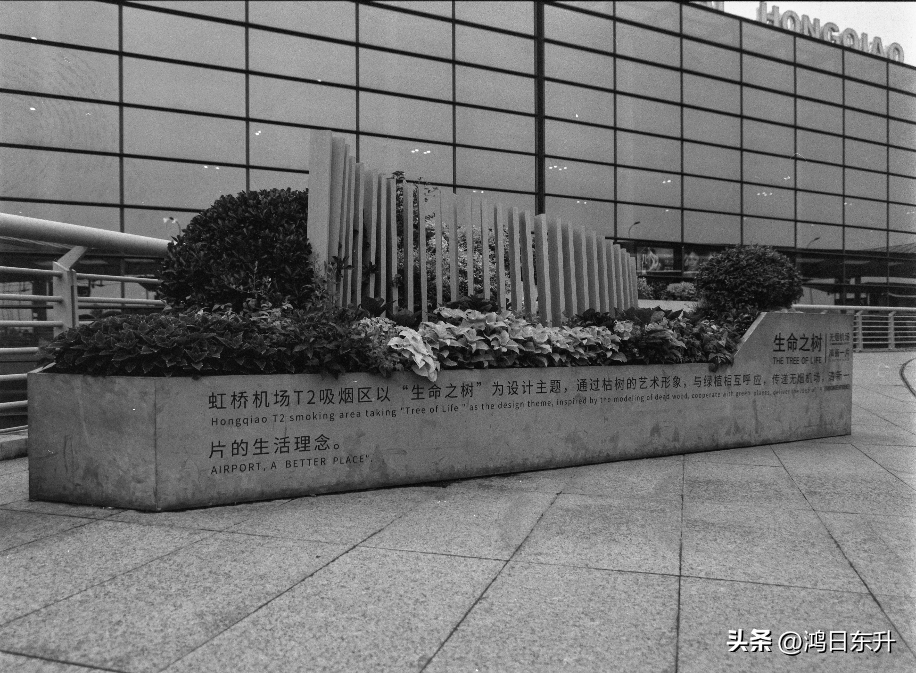 宾得645Nii老胶片相机值得拥有