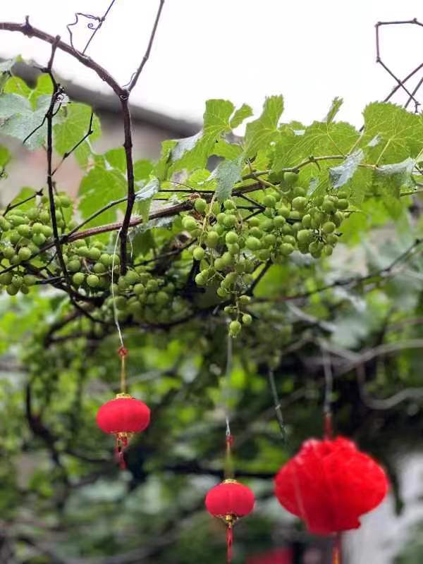 抖店新手怎么选择类目实操教学,抖店新手如何选择适合自己的类目