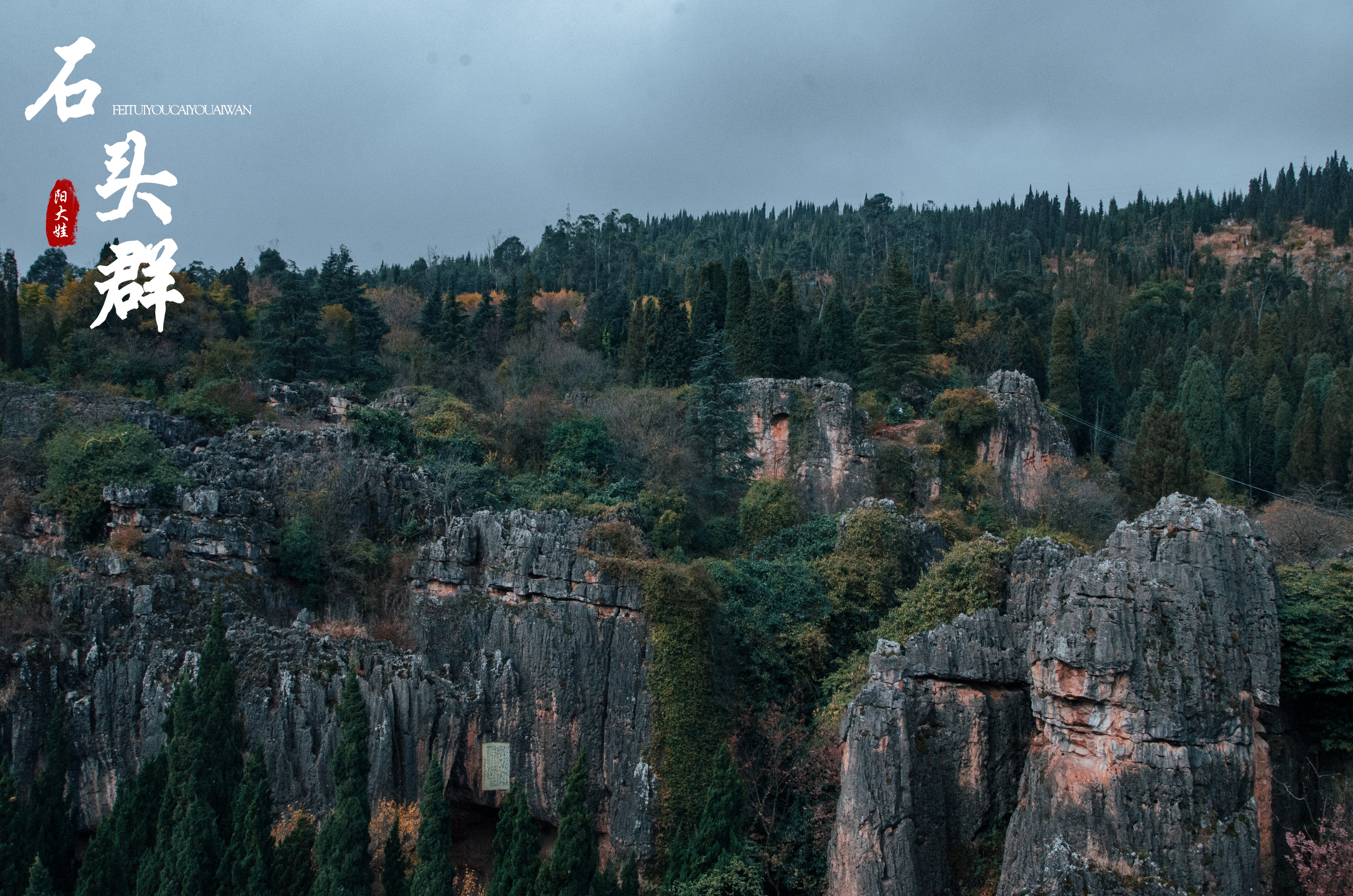 海口世纪公园游玩攻略一日游,昆明海口石城公园路线图