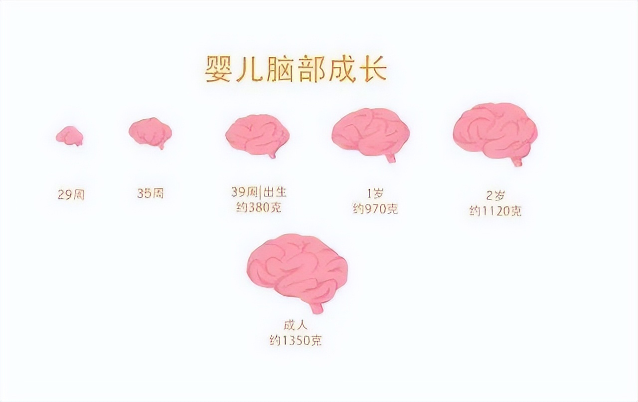 孩子每个月的体重增长标准,6个月到1岁宝宝体重增长标准