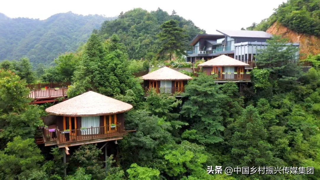 乡村振兴扶持项目在哪里申报,2023年乡村振兴项目补贴申报指南