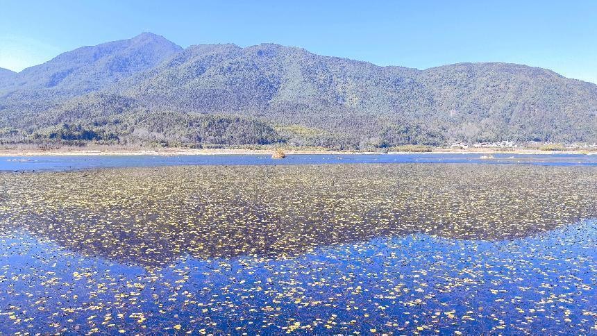 十一月云南旅游攻略腾冲 (从云南腾冲看云南旅游攻略)