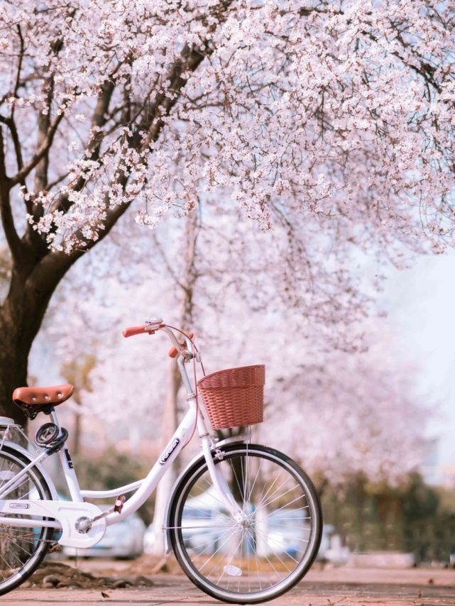 成都高校现在对外开放了吗,成都高校最新消息