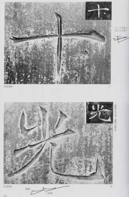 宸ョ瑪鐢绘潹鏅箟鐢诲唽,鏉滈箖鏉ㄦ櫘涔夊畬鏁寸増