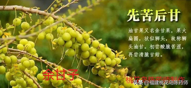 消食作用最好的中药是,中药学之消食药