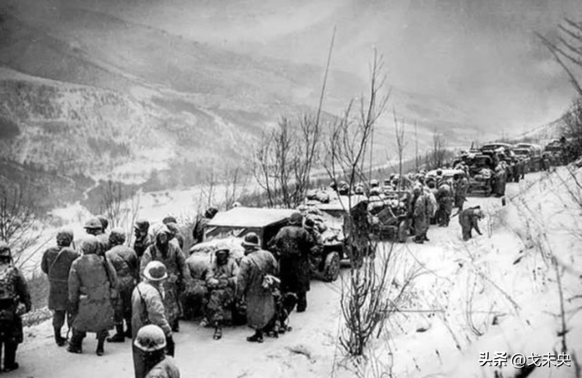 围歼北极熊团敌我伤亡,围歼北极熊团用了多少兵力啊