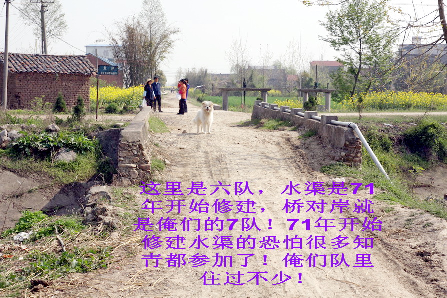 知青回忆插队艰苦岁月,知青回忆插队大锅饭