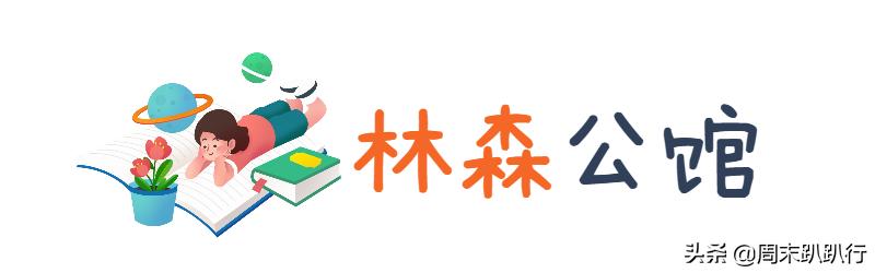 图书馆遛娃避暑好去处,图书馆夏天遛娃好地方