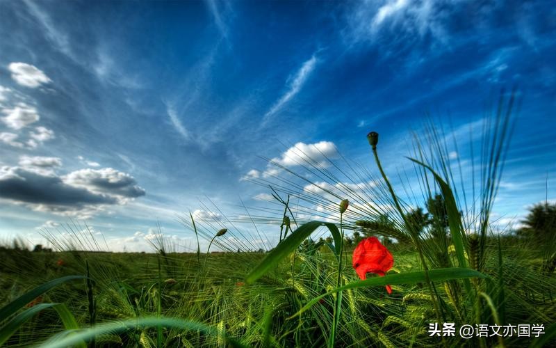 高考成语专项训练及答案,高考成语知识框架