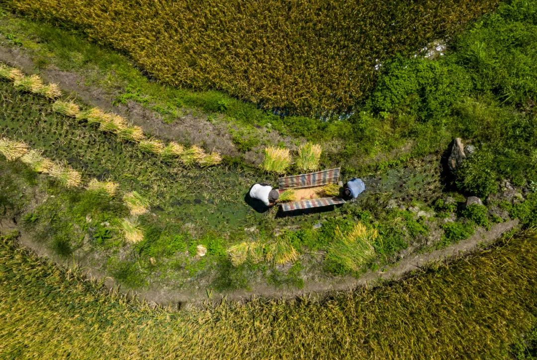 山地丘陵梯田的首选农机,农机怎么跑业务