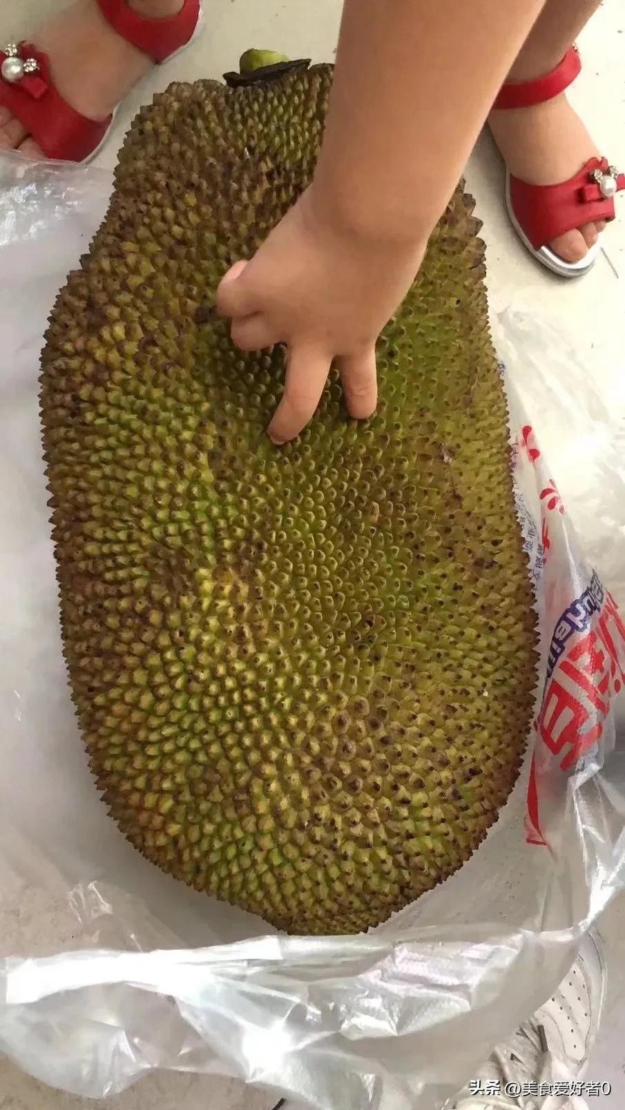 剥完菠萝蜜手上的白胶怎么处理,菠萝蜜好吃不好剥