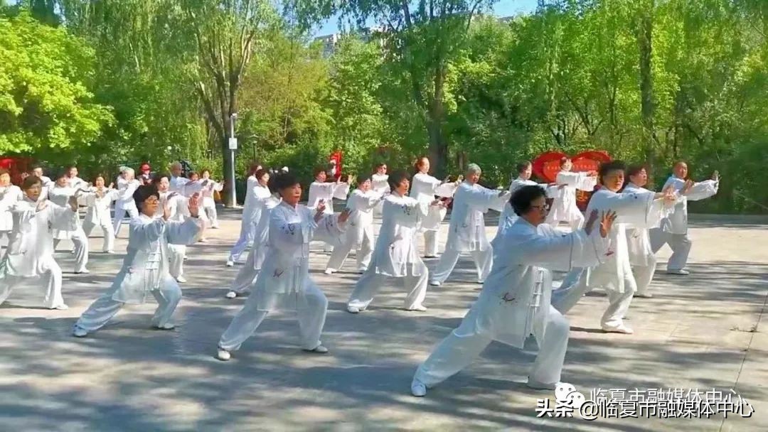 临夏湿地公园建设项目,临夏城市公园绿化工程