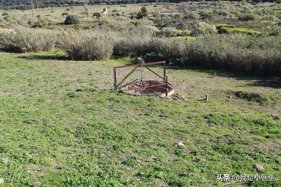 梅毒的医学检查和诊断