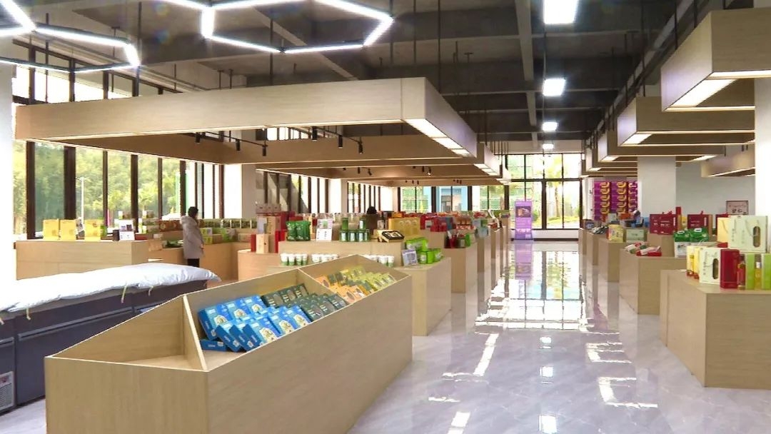 肇庆最美绿道在哪里,肇庆最美公路千里走廊在哪里