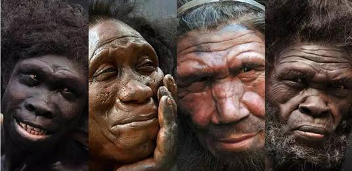 黑人基因和白种人相近,还是黄种人基因和白种人接近?为什么?