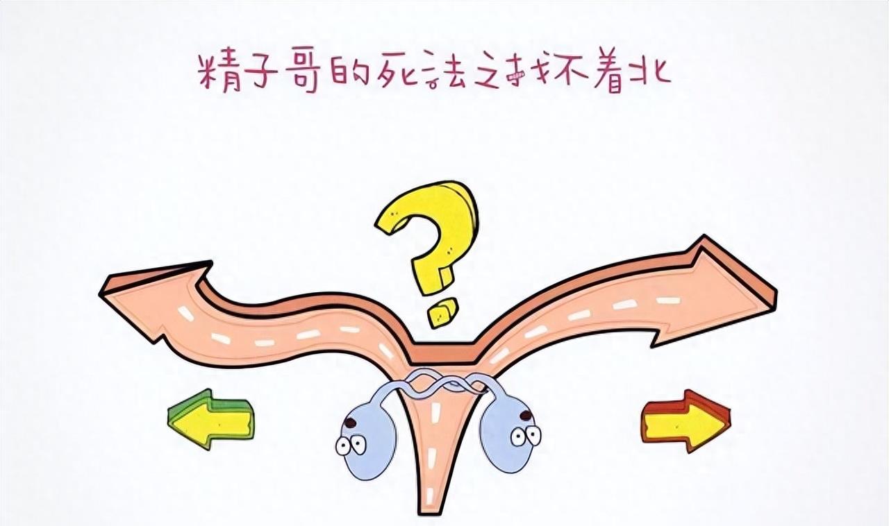 失落的小勇士们,踏上了怀孕之路
