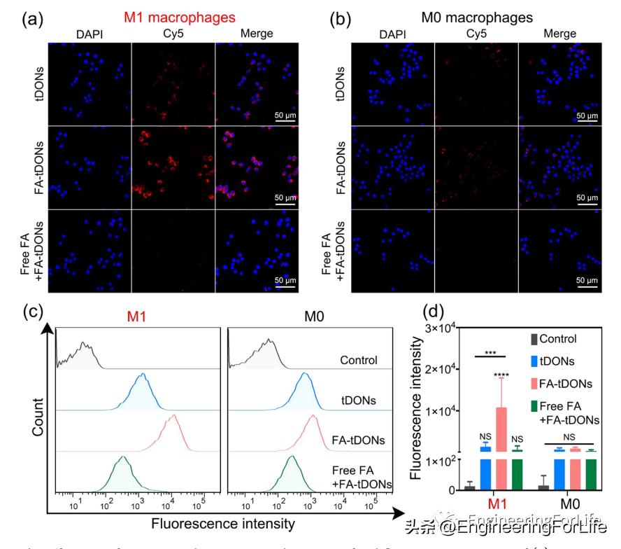 DNA也能清除炎症？类风湿性关节炎中的DNA折纸结构的靶向递送策略