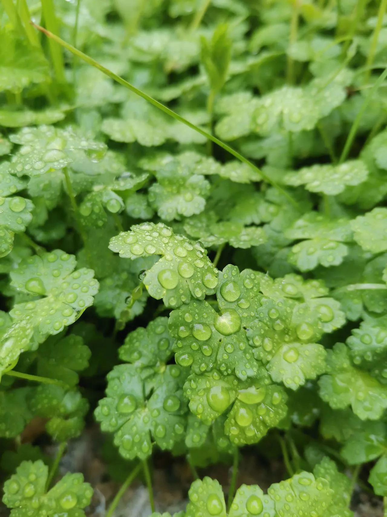 工业互联网大赛,工业互联网平台