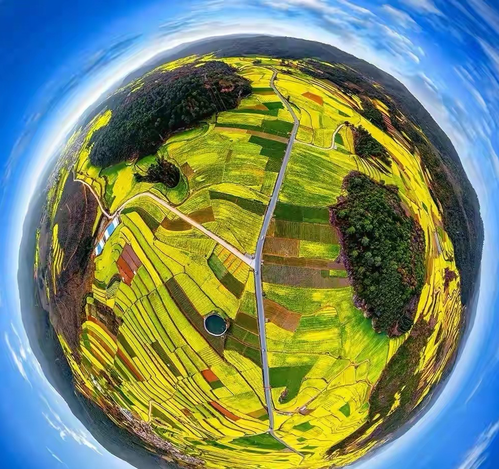 2022年春节云南免费景区,云南春节最合适的景点是哪些