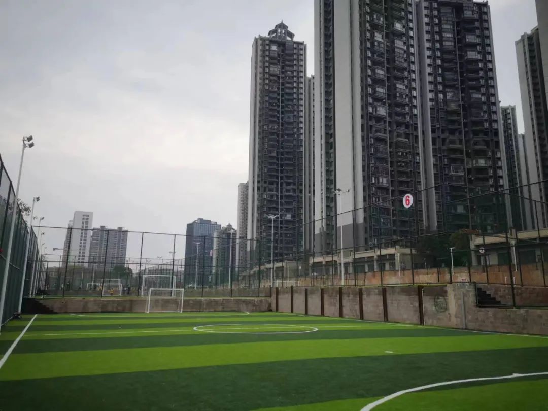 深圳龙岗奇葩房,深圳奇葩楼房