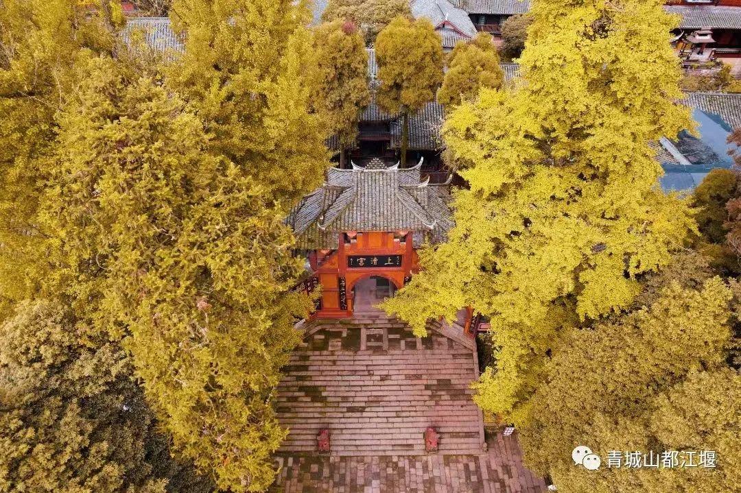 抓住秋天的尾巴！都江堰必打卡的8大晚秋好去处，步青山观烟岚云岫、入古城拾千年烟火，来过都会爱上