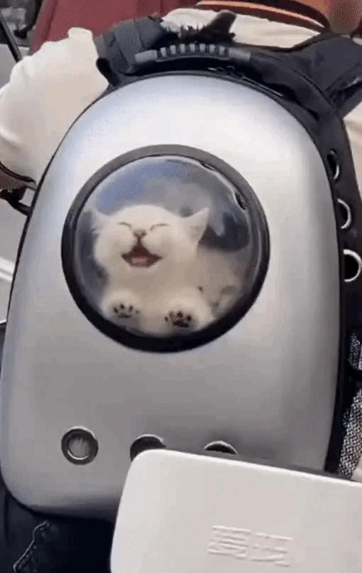 每日一笑：这个测试能说明什么？就这样怼十个手机都得破吧？