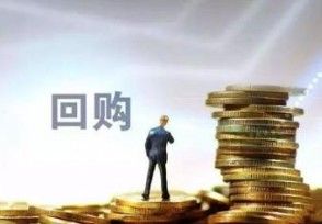 基金提供回购担保,基金回购担保方