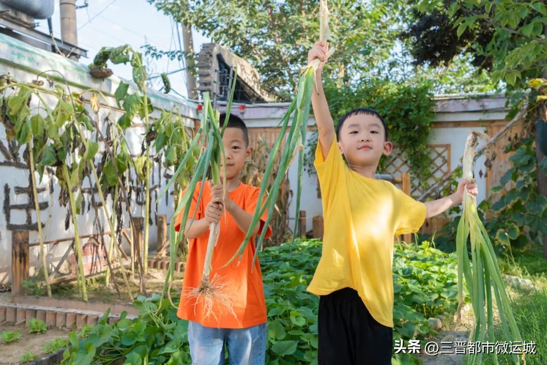 秋光如岁邂逅一场欢喜——临猗县直一园开学季