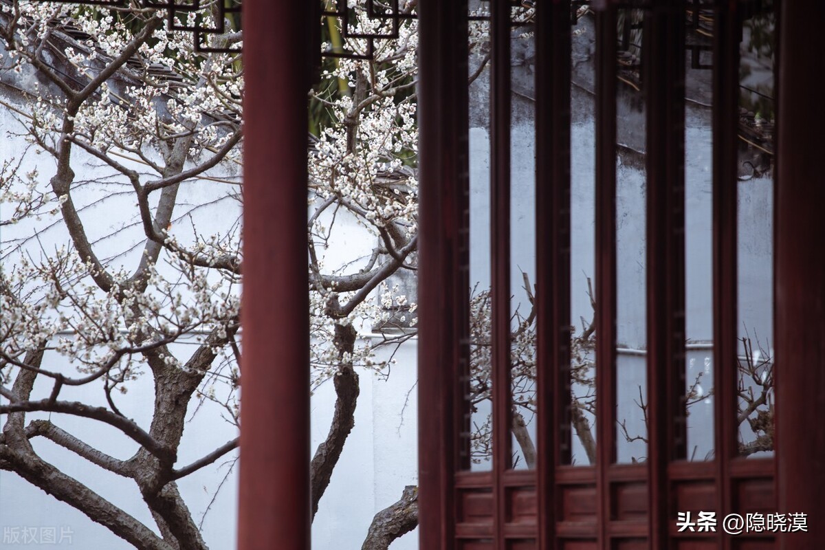 绝美古诗词描绘的雪景你见过几篇,带有古诗描写雪景的唯美句子