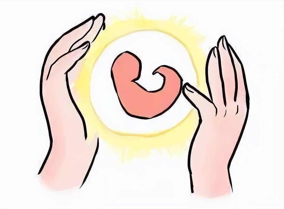 移植后胚胎发育缓慢怎么办,胚胎发育缓慢影响大脑吗