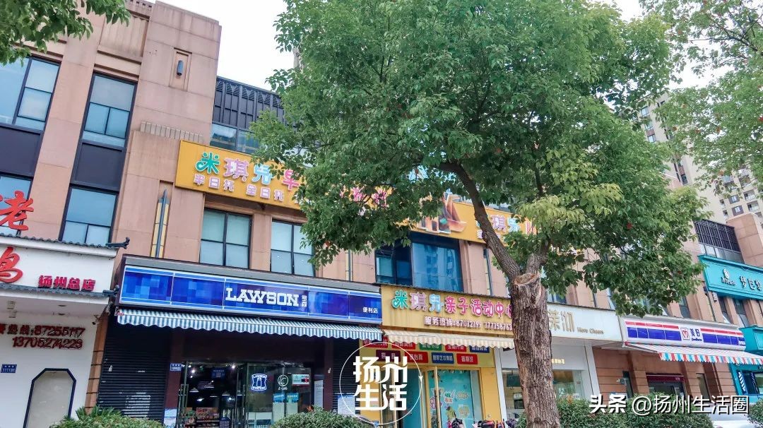 东区内卷之王，观潮路