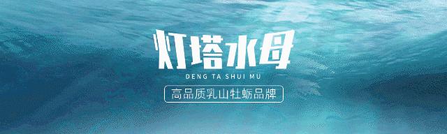 牡蛎乳山牡蛎,乳山一手牡蛎怎么发展