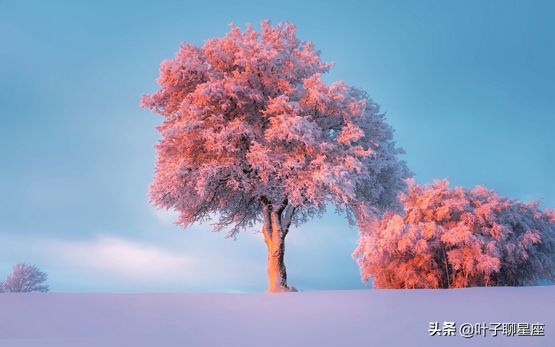 天蝎座分手后不会互删吗,天蝎座如果逼自己分手就绝不回头