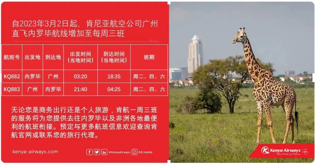 国际机票不足千元！ 出境游重启！外国航司恢复直航、增加航线