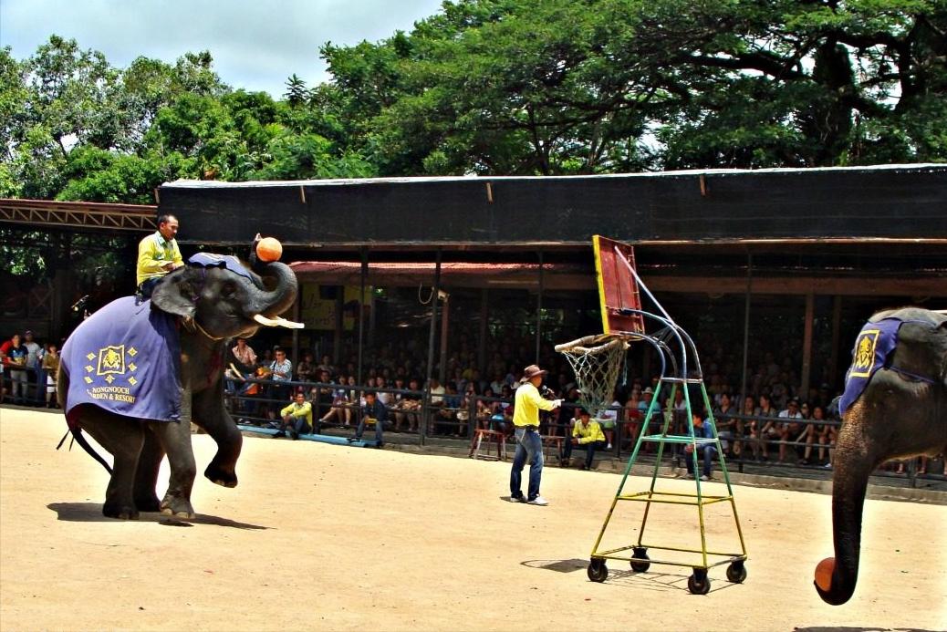 最真实的泰国图片,泰国十大风情图片高清版