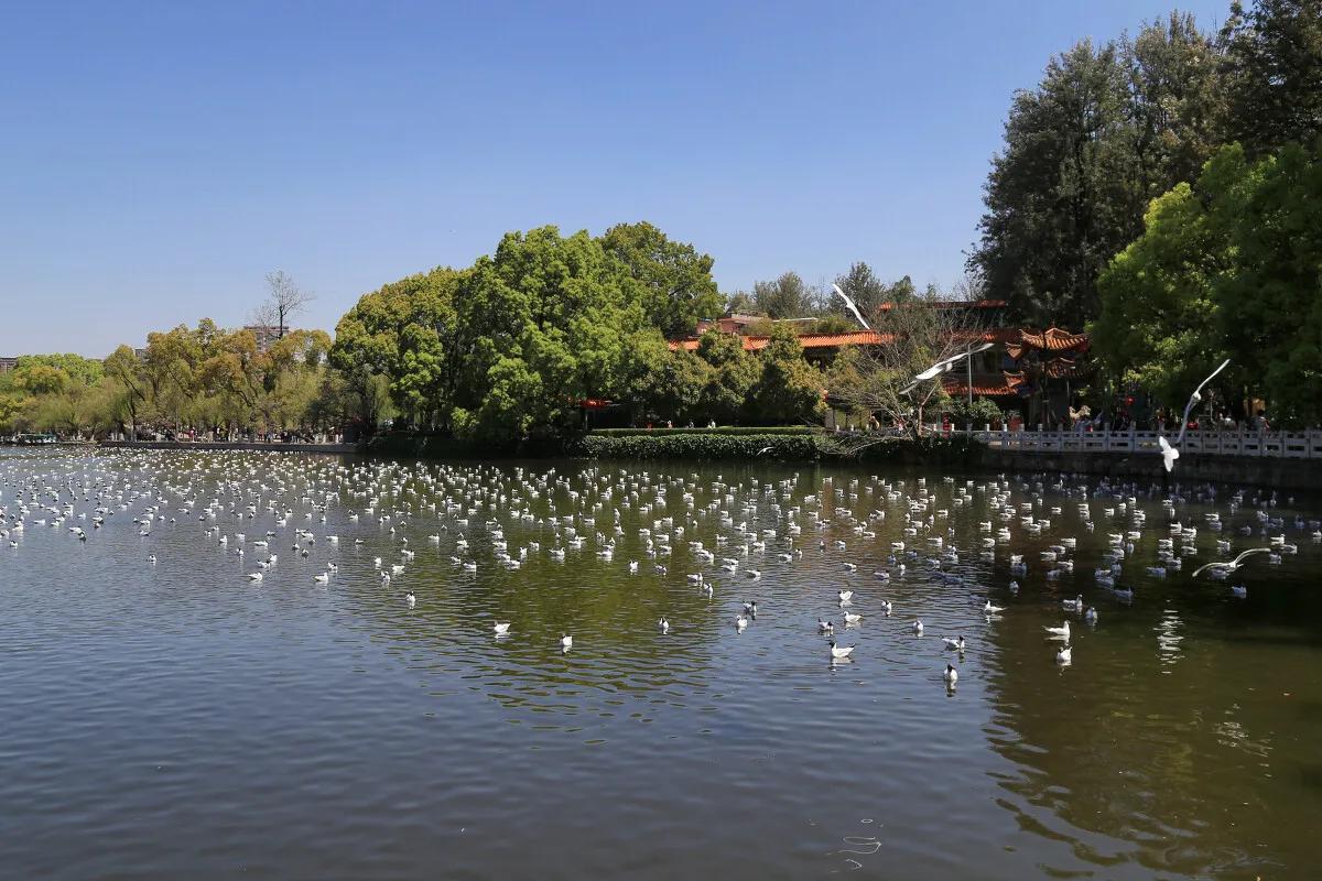 昆明两天一夜游,昆明周边游两天一夜自驾游